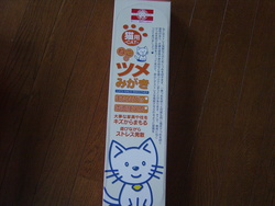 ねこ 興奮状態!