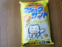 ねこ 興奮状態!