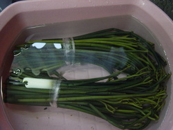 山菜