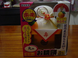 今日のお買い物
