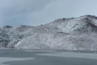 雪景色