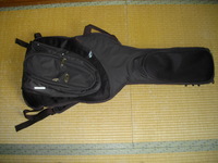 RITTER 7006 ギグバック 売却済み