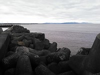 ミズタコ釣り(南防波堤)