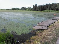 帰り道で