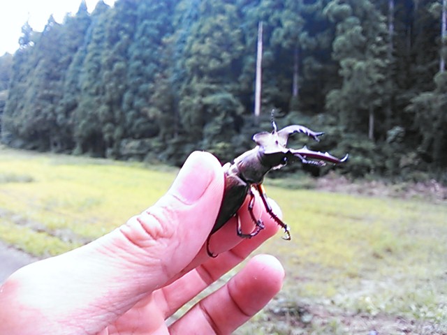 川遊び