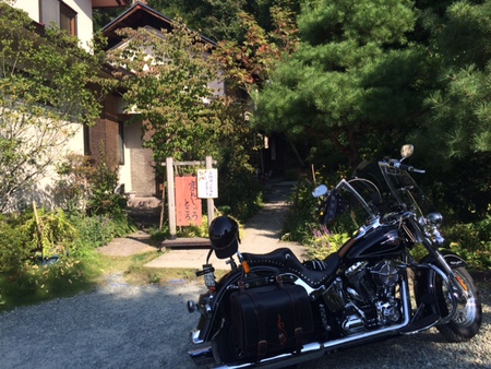 腰掛庵のわらびもち♪ 腰掛庵のわらびもち♪