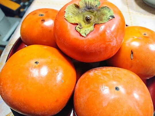 柿・かき・柿