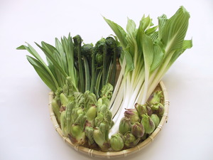 たがわ山菜 天ぷら4点セット(その1)
