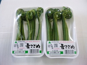 たがわ山菜 天ぷら4点セット(その2)