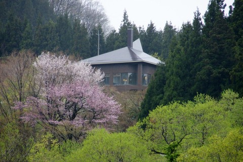 桜写真館、2