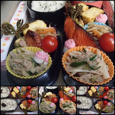うどとツナときゅうりのサラダ・うどの皮の金平・うどの天ぷら・独活・お弁当 うどとツナときゅうりのサラダ・うどの皮の金平・うどの天ぷら・独活・お弁当