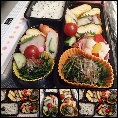おかひじきのおかか和え・銀鮭焼・お弁当