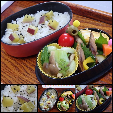 さつまいもご飯 さんまのピリ辛焼き 青梗菜とぶなしめじの炒め物 お弁当