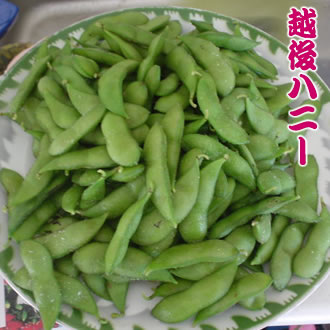 茶豆(越後ハニー)