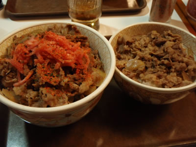 メガ牛丼/並盛との比較