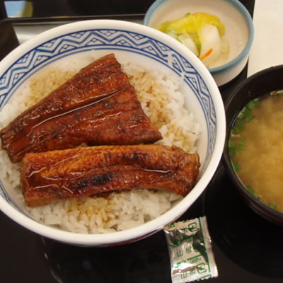 鰻定(うなてい)・吉野家