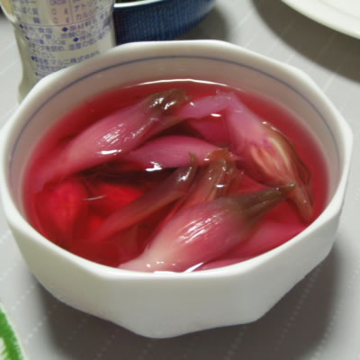 みょうがの甘酢漬・茗荷・冥加