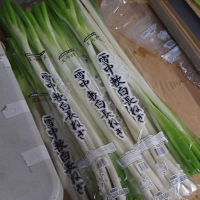 雪中軟白ねぎ・鶴岡特産・JA鶴岡・甘いねぎ・ブリザック・特殊栽培