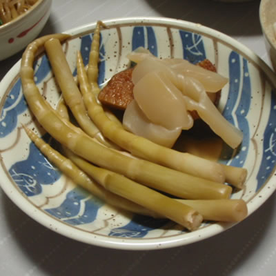 細竹・月山筍・鳥海筍
