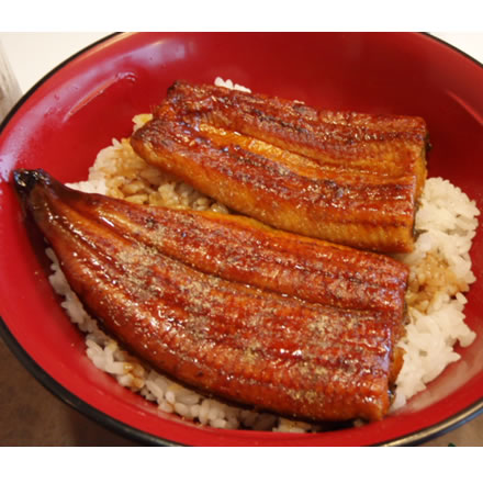 うな牛・特うな丼・すき家・カロリー