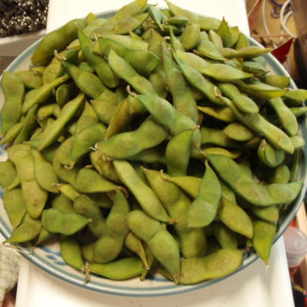 だだちゃ豆