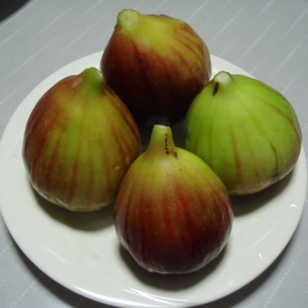 いちじく・イチジク・無花果・旬