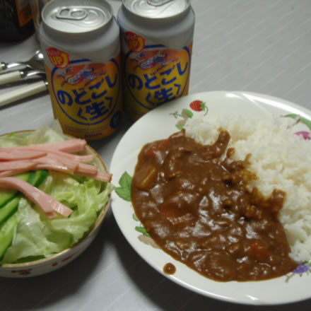 母なしカレー