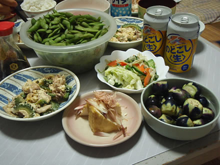 未来ちゃん・川島小鳥・みずのこぶ・ゴーヤ・だだちゃ豆・厚揚げ・茗荷