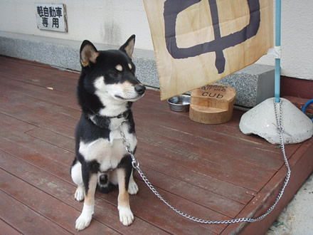 木戸銭の裏メニュー・ホットサンド・抹茶パウンドケーキ・酒田駅前・喫茶店
