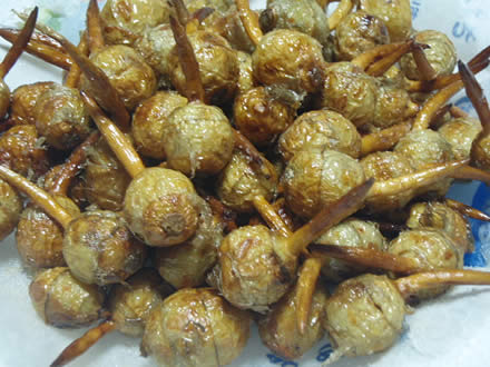 くわい(慈姑)のから揚げ・ぶり大根・温海かぶ漬