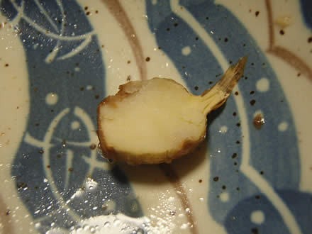 くわいの(慈姑)から揚げ・ぶり大根・温海かぶ漬