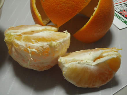 大根と練りものの煮物・白菜と人参のえのきのおひたし・いよかん