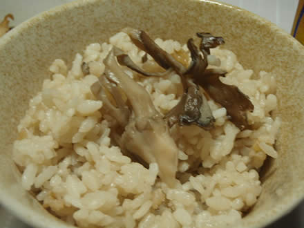 モツ野菜炒め（塩味）・筍とさつま揚げとこんにゃくの煮物・舞茸ごはん