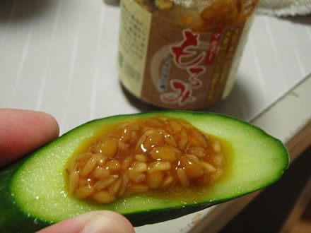冷やし中華・ゴーヤチャンプルー・きゅうりともろみ・庄内産メロン