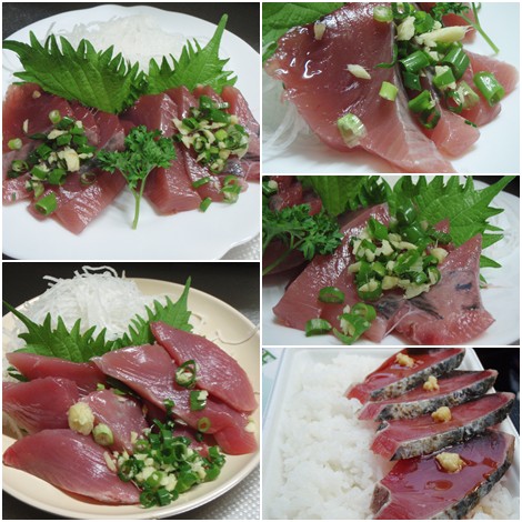 鰹・カツオ・かつお・松魚