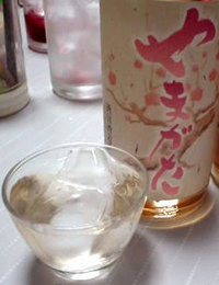 上喜元 純米 梅酒 やまがた (おばこ梅)