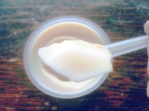 プリンの差し入れ