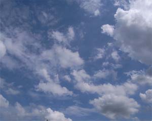 い～天気♪