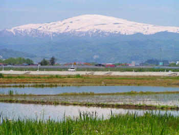 ■夏日　月山くっきり