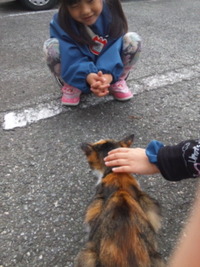 ねこ～